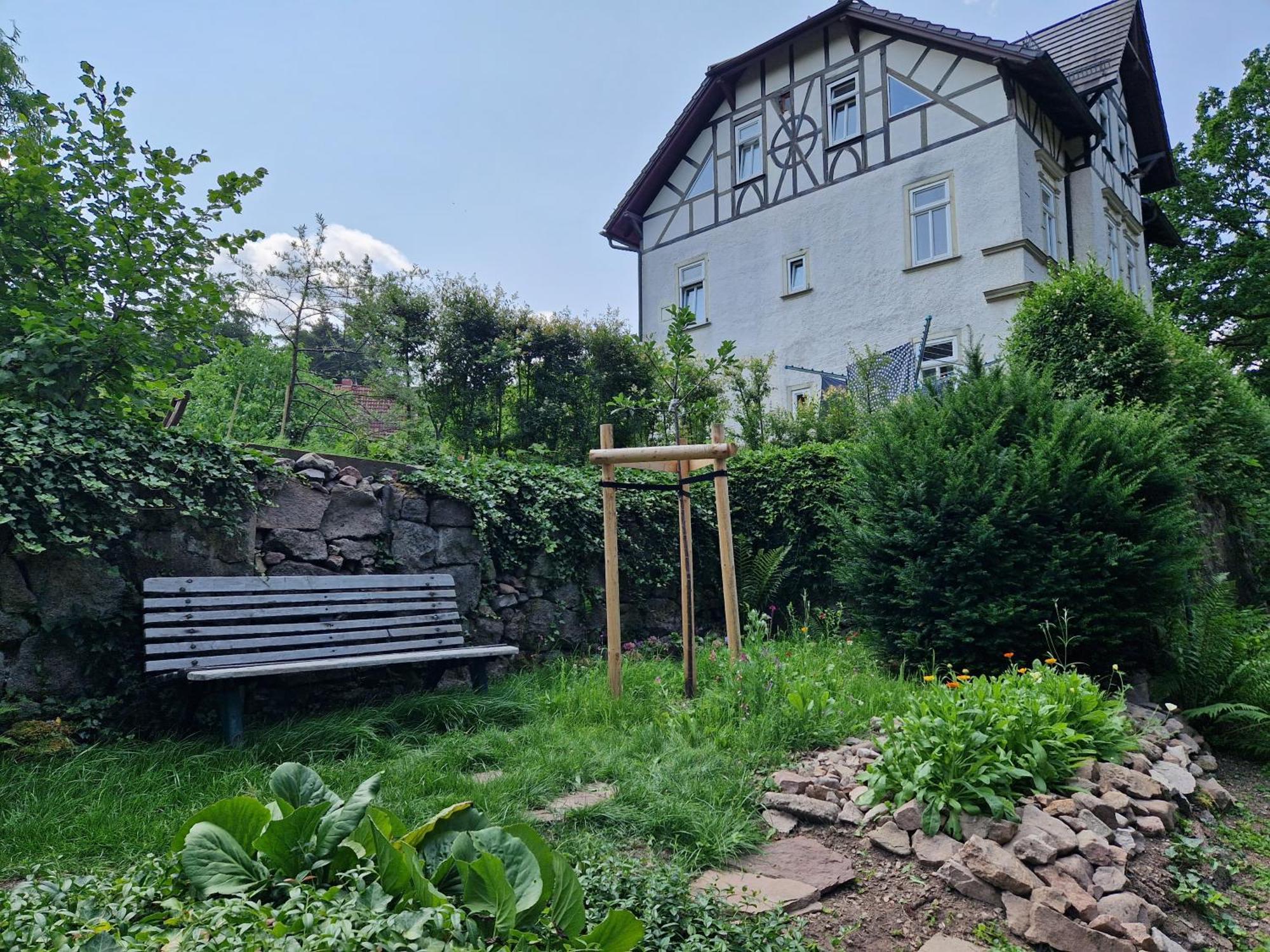 Ferienwohnung Im Logierhaus Villa Ihler Luisenthal Exterior foto